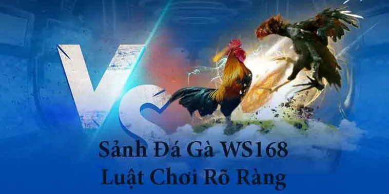 Bí Kíp Chơi Đá Gà WS168 Tại 88Goals Giúp Bạn Bất Bại Mọi Kèo 1 Bí Kíp Chơi Đá Gà WS168 Tại 88Goals Giúp Bạn Bất Bại Mọi Kèo
